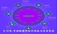 支付宝：中国数字钱包的