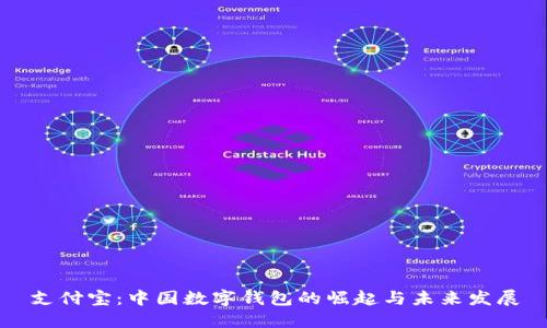 支付宝：中国数字钱包的崛起与未来发展