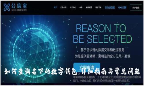 如何查询名下的数字钱包：详细指南与常见问题