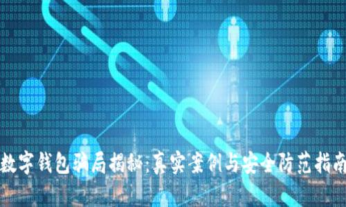 数字钱包骗局揭秘：真实案例与安全防范指南
