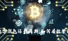深入解析数字钱包还钱周