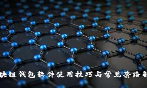 区块链钱包软件使用技巧与常见套路解析