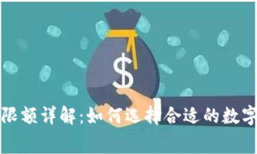 数字钱包消费限额详解：如何选择合适的数字钱包进行消费