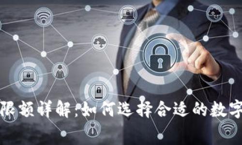 数字钱包消费限额详解：如何选择合适的数字钱包进行消费