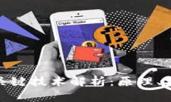数字货币钱包的关键技术解析：原理、安全性与