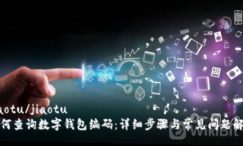 jiaotu/jiaotu
如何查询数字钱包编码：详细步骤与常见问题解析