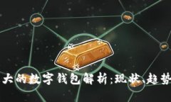 美国最大的数字钱包解析：现状、趋势与未来