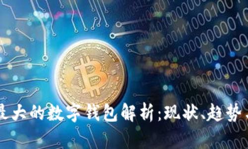 美国最大的数字钱包解析：现状、趋势与未来