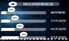   数字钱包能否兑换黄金？全面解析数字资产与黄