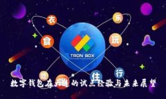 数字钱包在大连的试点经验与未来展望