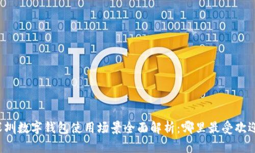 深圳数字钱包使用场景全面解析：哪里最受欢迎？