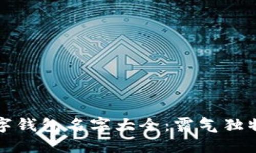 平安数字钱包名字大全：霸气独特的选择