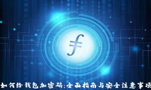 
如何给钱包加密码：全面指南与安全注意事项