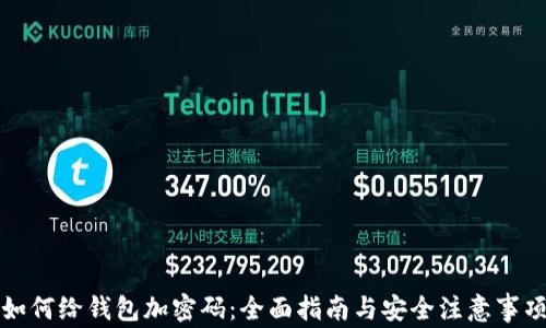
如何给钱包加密码：全面指南与安全注意事项