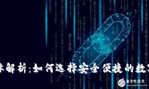 数字钱包载体解析：如何选择安全便捷的数字钱包与应用