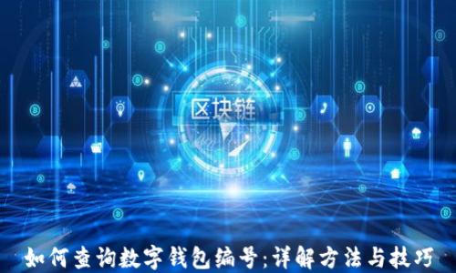 
如何查询数字钱包编号：详解方法与技巧