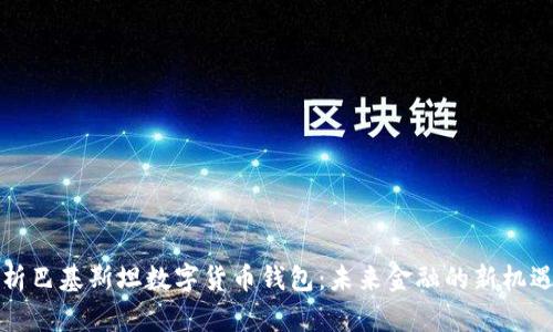 全面解析巴基斯坦数字货币钱包：未来金融的新机遇与挑战