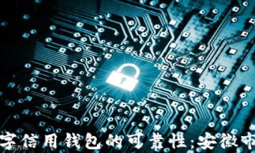 
探索数字信用钱包的可靠性：安徽市场分析