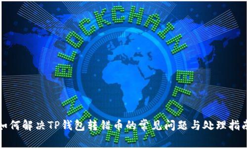 如何解决TP钱包转错币的常见问题与处理指南
