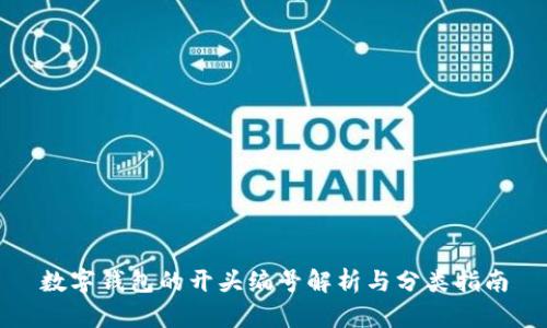 数字钱包的开头编号解析与分类指南