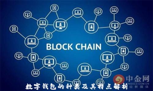 
数字钱包的种类及其特点解析