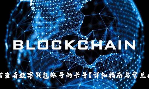 优质如何查看数字钱包账号的卡号？详细指南与常见问题解答