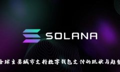 全球主要城市支持数字钱