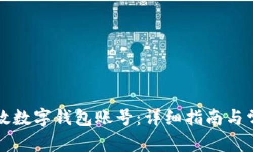 如何开通邮政数字钱包账号：详细指南与常见问题解析