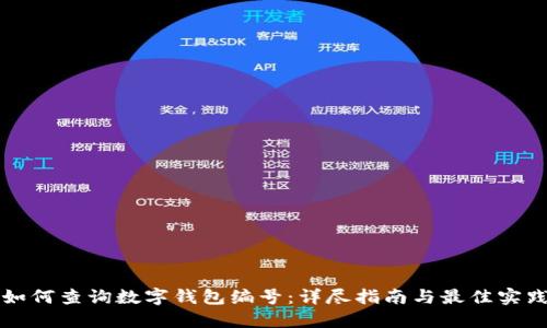 如何查询数字钱包编号：详尽指南与最佳实践