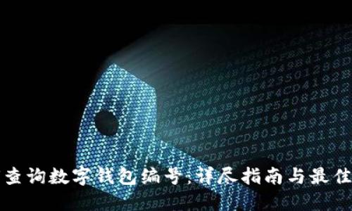 如何查询数字钱包编号：详尽指南与最佳实践
