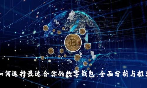 如何选择最适合你的数字钱包：全面分析与推荐