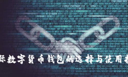 国际数字货币钱包的选择与使用指南