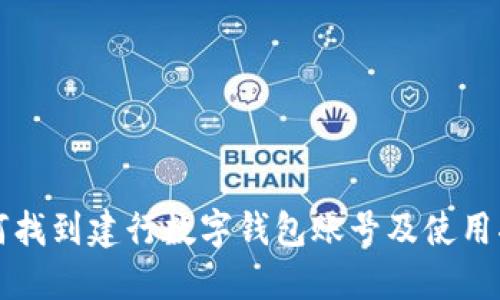 如何找到建行数字钱包账号及使用指南
