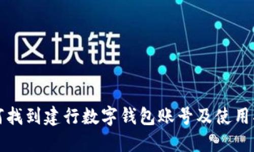 如何找到建行数字钱包账号及使用指南