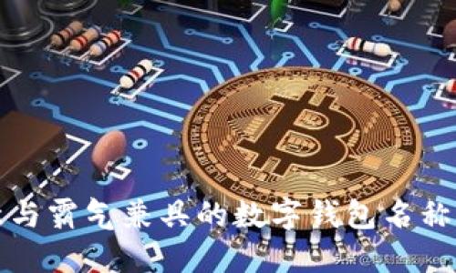 创意与霸气兼具的数字钱包名称推荐