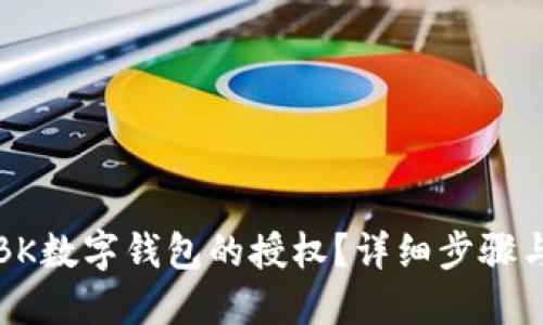 如何解除BK数字钱包的授权？详细步骤与实用技巧