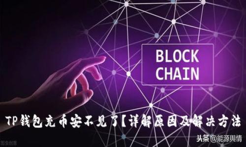 TP钱包充币安不见了？详解原因及解决方法