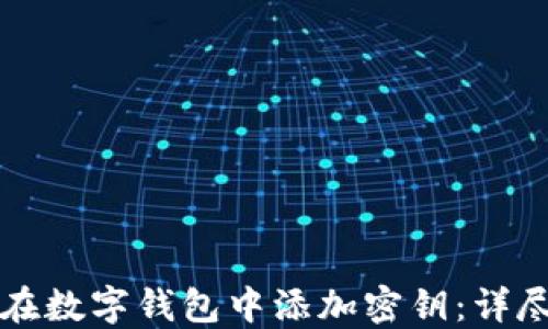 
如何在数字钱包中添加密钥：详尽指南