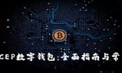 如何使用DCEP数字钱包：全