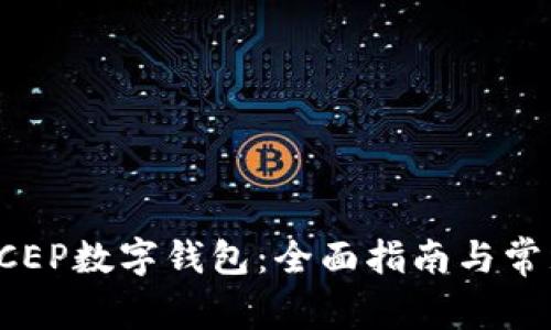 如何使用DCEP数字钱包：全面指南与常见问题解答