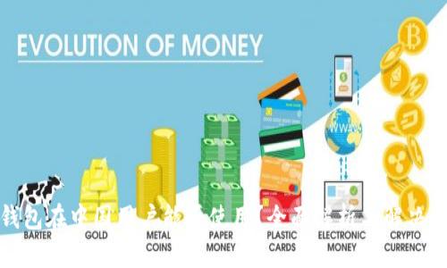 TP钱包在中国用户能否使用？全面解析与解决方案