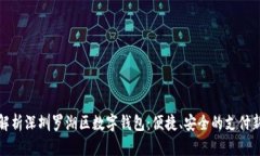 全面解析深圳罗湖区数字