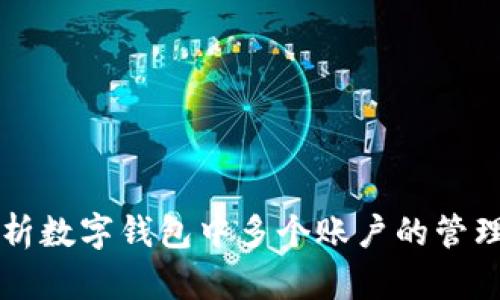 全面解析数字钱包中多个账户的管理与应用