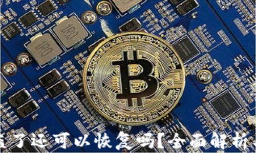 
TP钱包被盗了还可以恢复吗？全面解析与解决方案