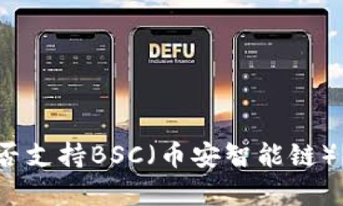 TP钱包电脑版是否支持BSC（币安智能链）？详细解析与教程