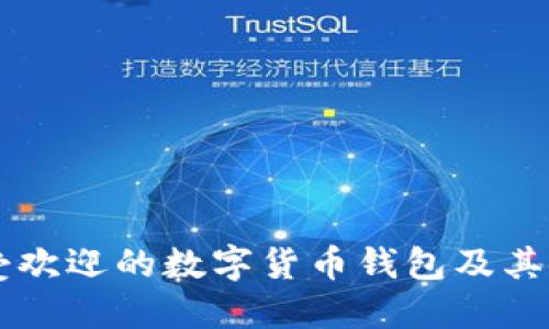 印度最受欢迎的数字货币钱包及其使用指南