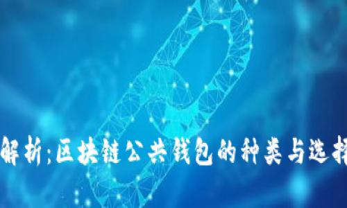 深入解析：区块链公共钱包的种类与选择指南