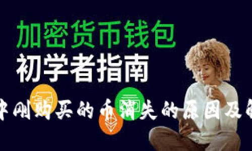 TP钱包中刚购买的币消失的原因及解决方案