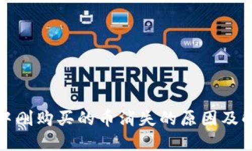 TP钱包中刚购买的币消失的原因及解决方案