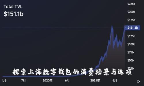 探索上海数字钱包的消费场景与选项